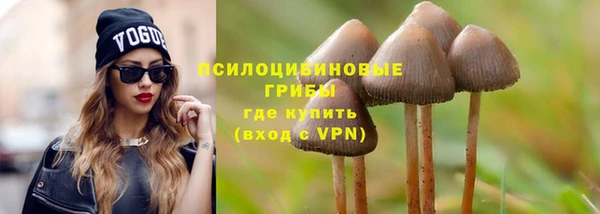спайс Алексеевка