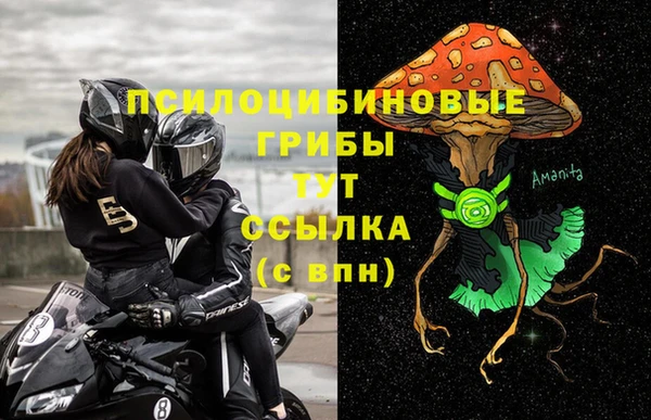 прущая мука Алзамай
