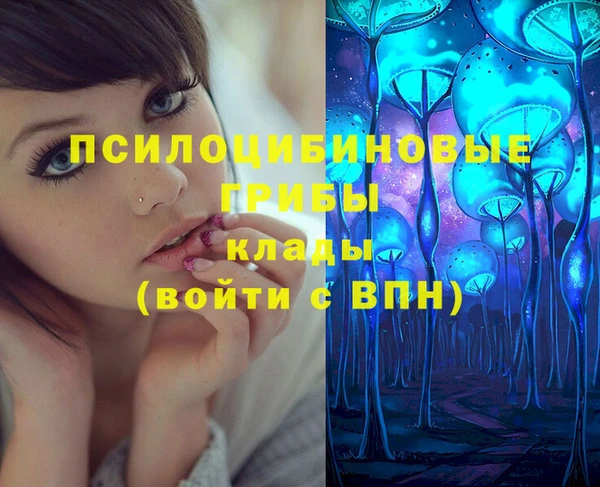 прущая мука Алзамай