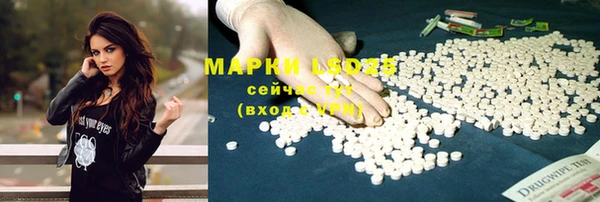 спайс Алексеевка